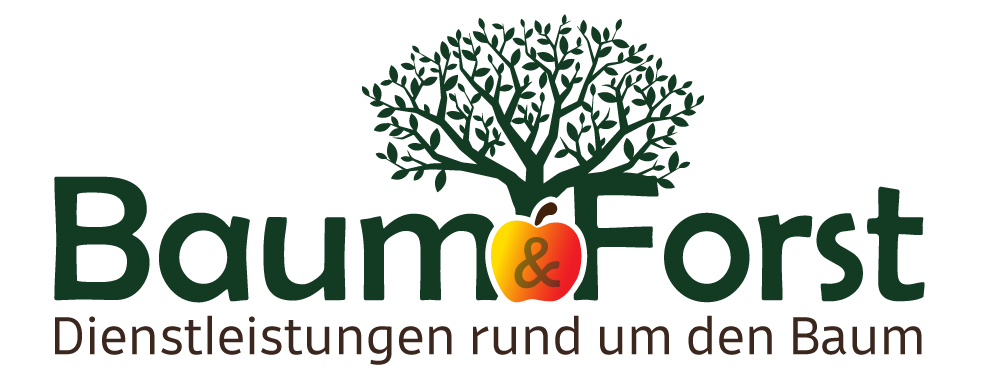 Baum & Forst | Dienstleistungen rund um den Baum