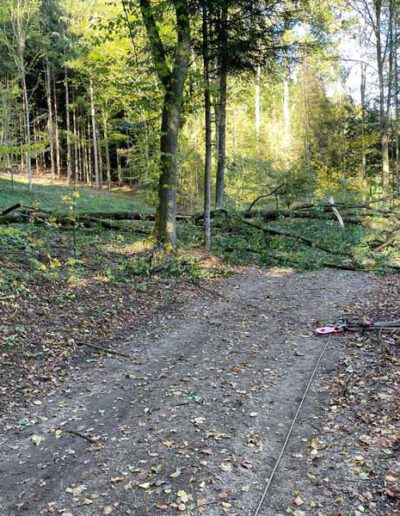 Baum versperrt Durchfahrtsweg