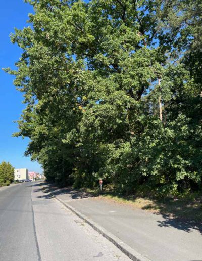 Zu korrigierendes Lichtraumprofil