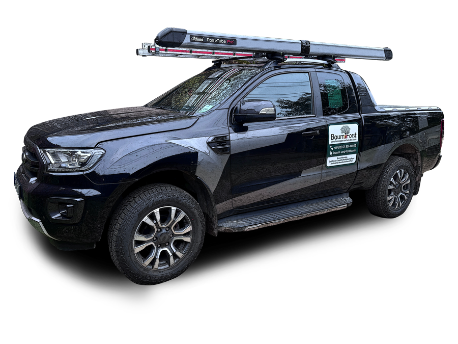 Pickup von Baum und Forst